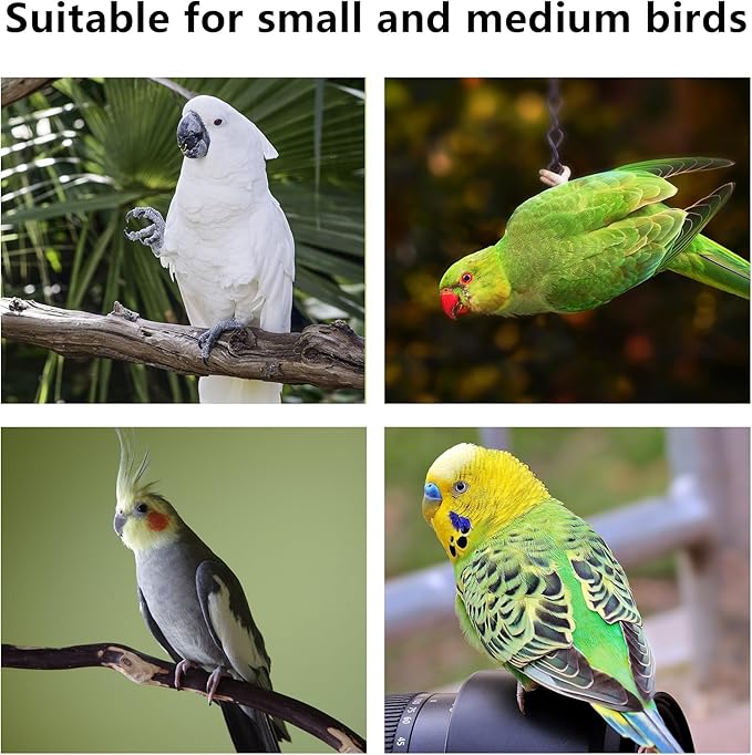 2 Pcs Parrot Chewing Stopper Toy Stand Perches Lollipop Stick Bird Toy Intelligence and Emotions Wood Foraging Toys for Parrots Cage Accessory (Wood-Lollipop, 2 Pack)