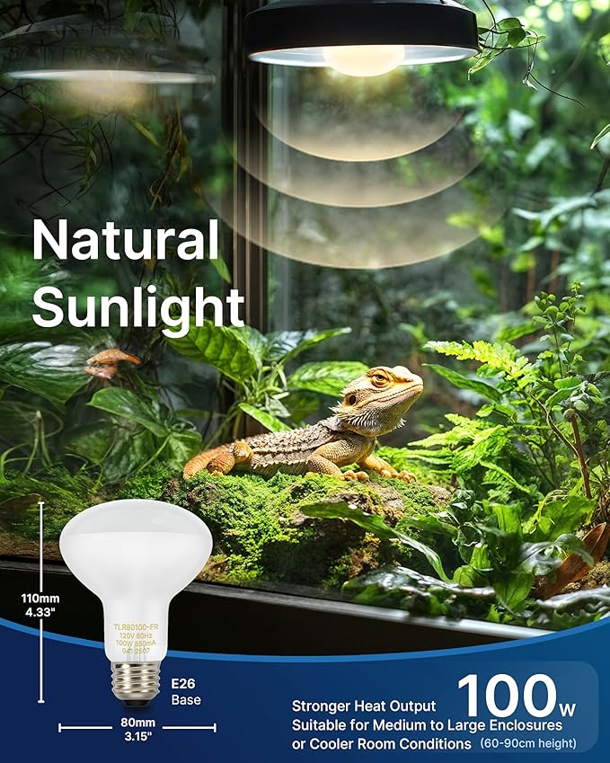 FLSNT Heat Bulb Lamp, 2-Pack 100W Daylight Basking Spot, Bearded Dragon/Turtle/Lzard/Gecko Light Bulb, UVA Heat Lamp, Basking Light for Reptiles RA80
