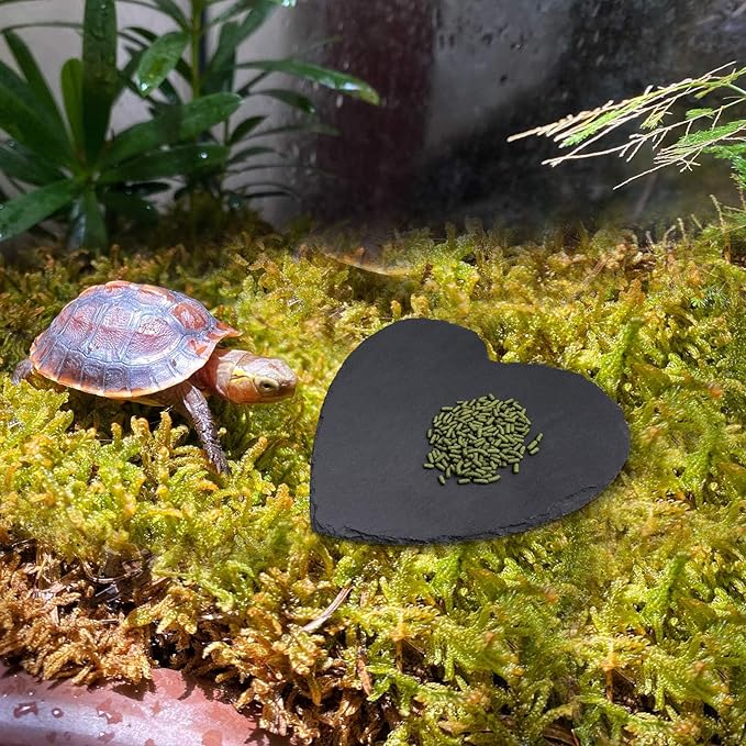 Reptile Basking Platform, 7.9 × 7.9 inch Tortoise Rock Plate, Heart Shape Natural Rock Reptile Food Dish, Turtle Feeding Bowl, Habitat Decor for Bearded Dragon Chameleon Frog Lizard Gecko Hermit Crab