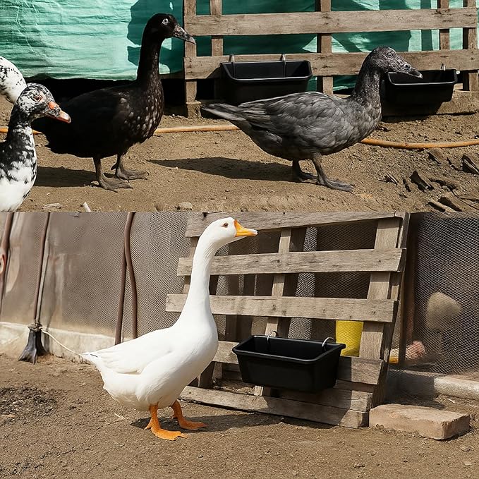 Hanging Chicken Feeder Troughs (2Pack, 5 Qt) – Durable Black Plastic Poultry Feed & Water Buckets with Metal D‑Clips, Multi‑Animal Goat, Sheep, Duck, Pig, Horse, Chicken Coop Feeder