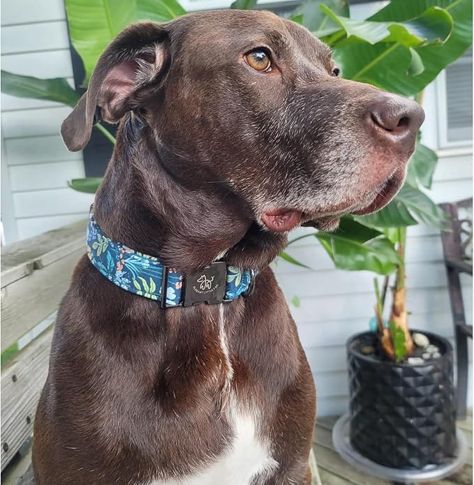 Elegant little tail Dog Collar, Floral Pet Collar Durable Darkblue Flower Dog Collars Male or Female Holiday Pet Gift Adjustable Dog Collar for Small Dogs