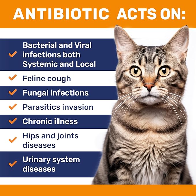 Cat Antibiotic to Help with Cough & Allergies โ Antibiotics for Cats to Aid with UTIs and Digestive Moments โ HIPS & Joints Support โ Attractive Chicken Taste โ 1 Oz Bottle