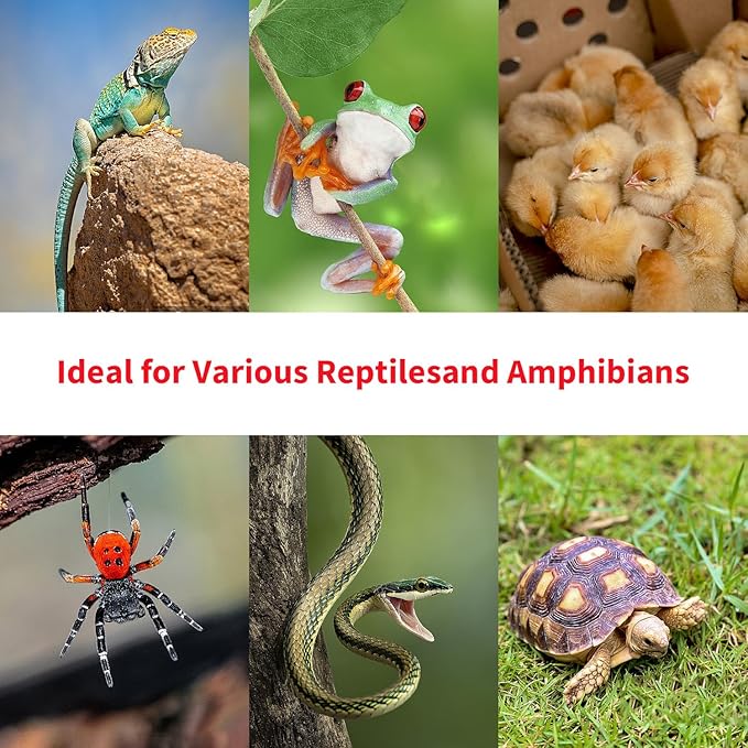 75W Reptile Heat Lamp Bulb 2-Pack,Complete Day & Night Basking Spot Light Combo Including Infrared Heat Lamp and UVA Daylight Basking Lamp for 24-Hour Thermal Regulation