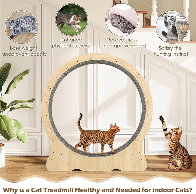 Tangkula Cat Wheel for Indoor Cats, 40 Inch Large Cat Exercise Wheel with Lockable Mechanism, Carpeted Runaway, Wooden Ultra Low Noise Running Treadmill with a Teaser Toy for Kitty Fitness