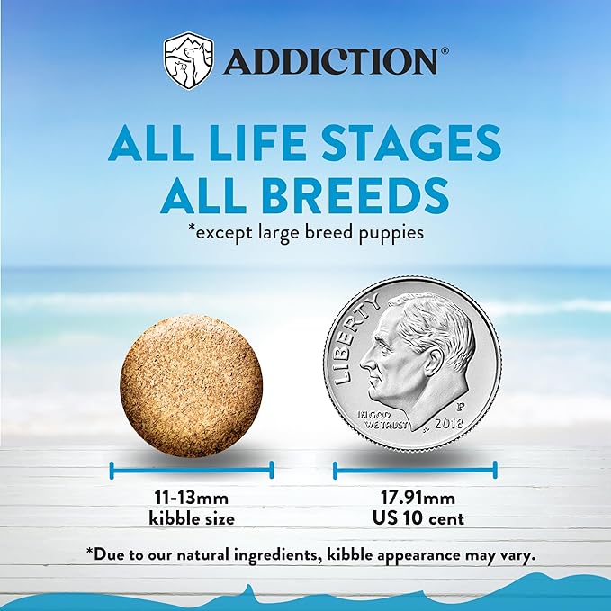 Addiction Salmon Bleu Grain-Free Dry Dog Food - Rich in Prebiotics to Support Skin, Coat & Cognitive Health - Salmon Recipe for All Dog Life Stages - Made in New Zealand 4 lb