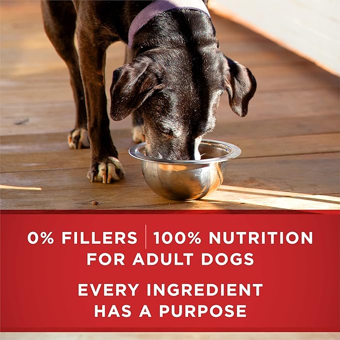 Purina ONE Plus Classic Ground Vibrant Maturity Adult 7 Plus Turkey And Barley Entree Senior Dog Food - (Pack of 12) 13 oz. Cans