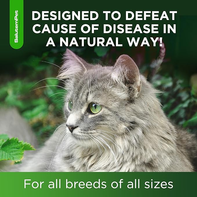 Cat Antibiotic for Infections, UTIs, Respiratory Moments, Cold, & Allergies | Antibiotics for Cats of All Ages & Breeds | Liquid Form | Natural Supplement with Chicken Flavor | 2 Oz