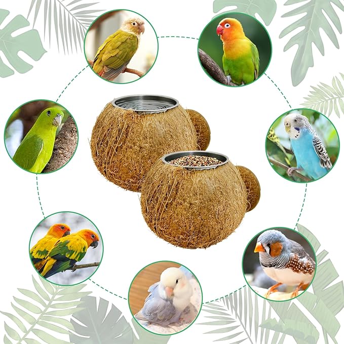 Coconut Bird Bowls for Cage 2-in-1 Coconut Shell Birds Feeder Set of 2 Hanging Parrot Cage Feeders Natural Parakeet Food and Water Dishes for Lovebirds Finches Budgies Cockatiels