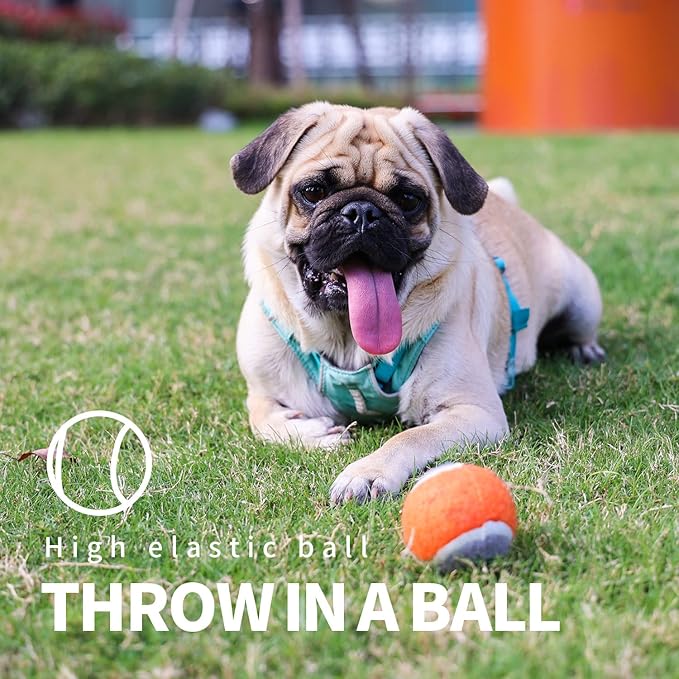 PAWISE Dog Ball Launcher - 12.2'' Dog Fetch Toy with 2.3'' Tennis, Portable Ball Thrower for Small to Medium Dogs, Indoor & Outdoor Use, Durable & Easy to Clean