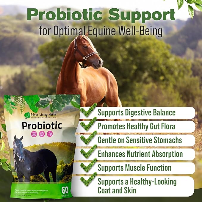 Silver Lining Herbs Horse Probiotics Digestive Supplements - Digestive Enzyme & Gut Health Probiotic Supplement for Horses - Contains 13.2 Billion CFUs Probiotic Strains - 1.25 lb 60-Day Supply