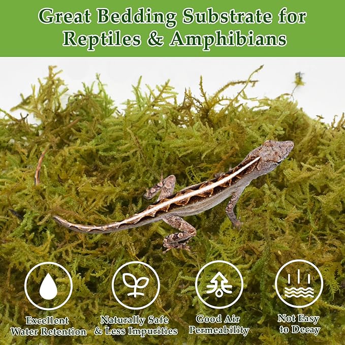 Halatool 1.5LB Natural Sphagnum Moss for Reptiles- 80QT Green Moss for Terrarium Plants Long Fiber Reptile Moss for Leopard Gecko Snake Hamsters Tortoises Frogs Lizards Salamanders