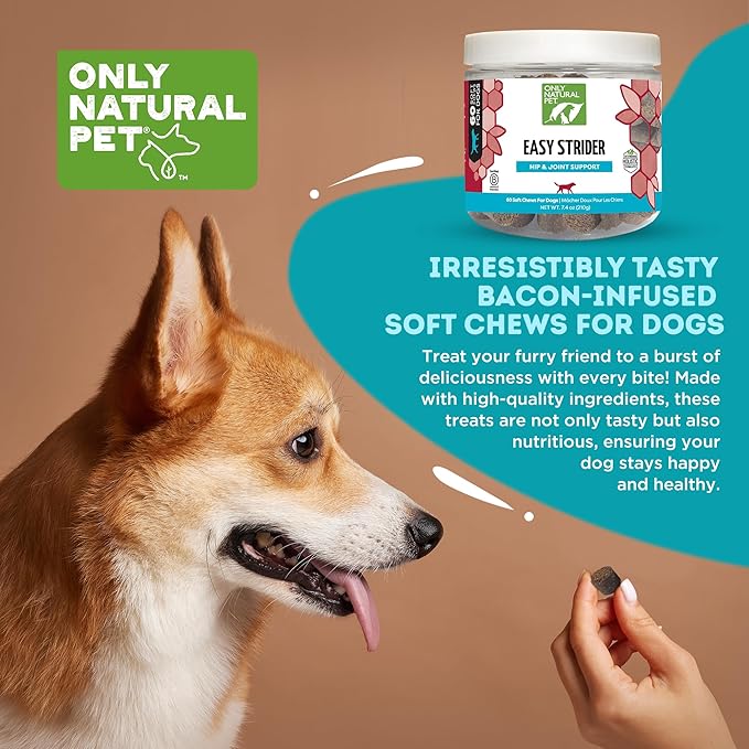 Only Natural Pet Easy Strider Hip and Joint Supplement, All Natural Holistic Glucosamine & Turmeric Formula for Dogs - Made in USA, 60 Soft Chews