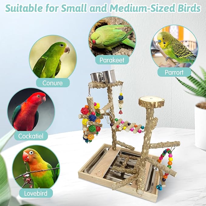 PINVNBY Bird Playground Natural Wood Parrot Perch Stand Bird Play Gym Colorful Ladder Swing Chewing Toys with Metal Tray and 2 Stainless Steel Cups Bird Cage Accessories for Conure Cockatiel Parakeet