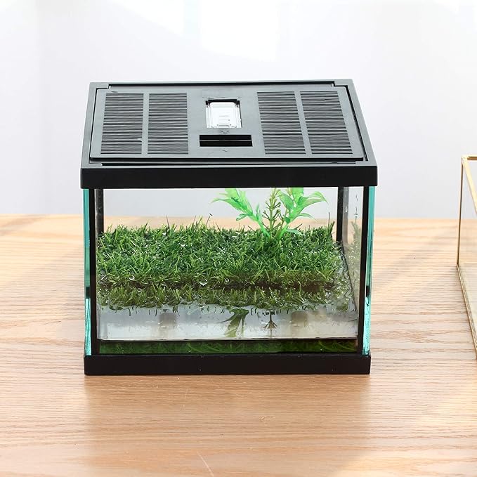 crapelles Small Glass Frog Terrarium Kit, 7.8x7.8x5.9'' for Tadpole, Amphibians, Insects Enclosure, Praying Mantis Habitat, with Green Artificial Turf Pad (excluding Animals)