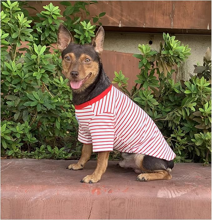 YQYS Pet T-Shirts Thick Striped Cotton Tee Shirt for Small Dogs and Cats Puppy Clothes Apparel Clothing for Teacup Chihuahua Yorkie Poodle Red White XLarge