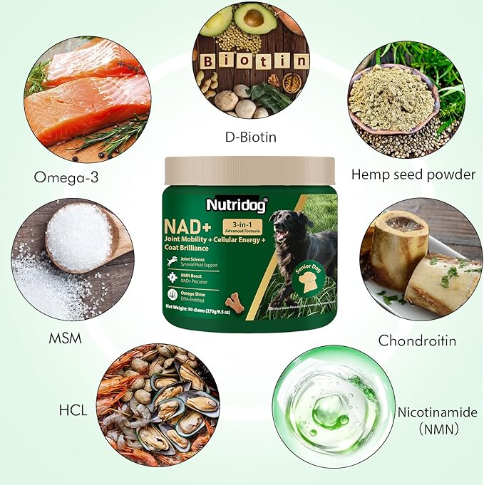 NAD Supplement for Senior Dogs - 3-in-1 Joint Supplement for Dogs, Skin & Coat Care Chews with Glucosamine, NMN, Omega-3 - Bacon Flavor, 90 Count for Arthritis & Allergy Relief (90Ct, Bacon)