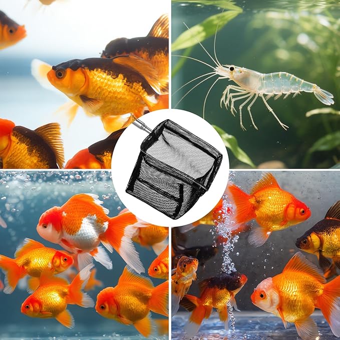 2 Pack 3 Inch Aquarium Net Small Fish Net Black Aquarium Shrimp Nets with Extendable Stainless Steel Handle Fine Tank Tool Mesh for Shrimp, Baby Fish, Food Residue Debris Skimming