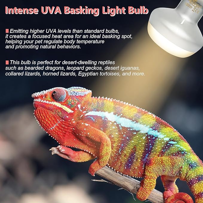 Intense 100W UVA Spotlight Heat Lamp Bulbs for Reptile Basking and Terrariums - Ideal for Desert-Dwelling Reptiles Like Bearded Dragons, Geckos, Iguanas, Lizards, Amphibians (Pack of 2)