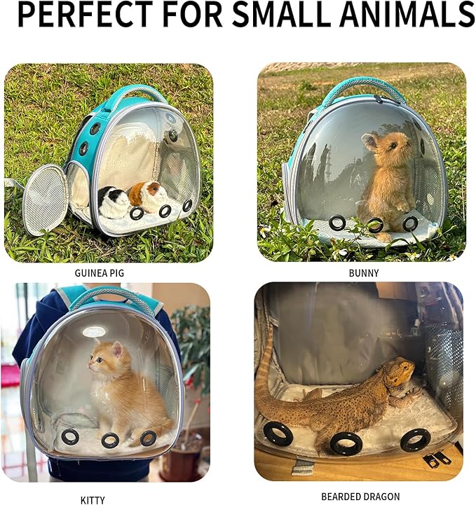 Bearded Dragon Lizard Backpack Carrier with Harness and Leash Set, Small Animal Carrier Backpack, Space Capsule Bubble Window, Small Pet Carrier Backpack, Airline Approved(Green)