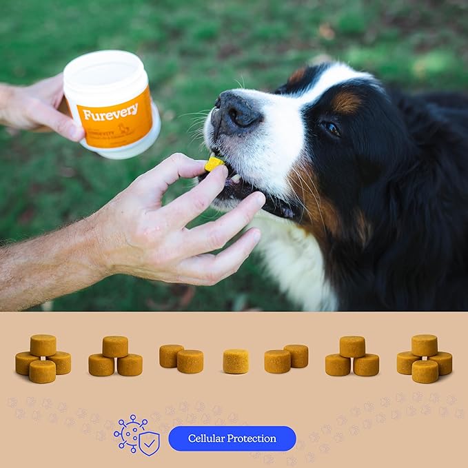 Longevity Dog Multivitamin, 11-in-1 Chicken Flavor Daily Chews | Supports Hip & Joint, Immune System, Skin & Coat, Heart, Energy & Vitality | Dogs 1 Year & Older (60 Count)