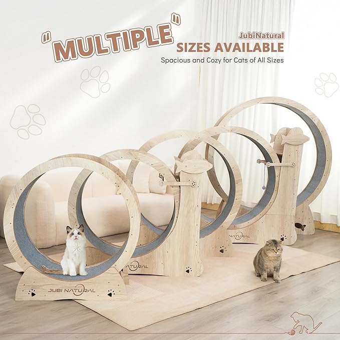 Cat Exercise Wheel, 40" Cat Running Wheels for Indoor Cats with with Locking Mechanism, Cats Treadmill Wheels with Scratching Board and Teaser Toy, Cat's Weight Loss and Health