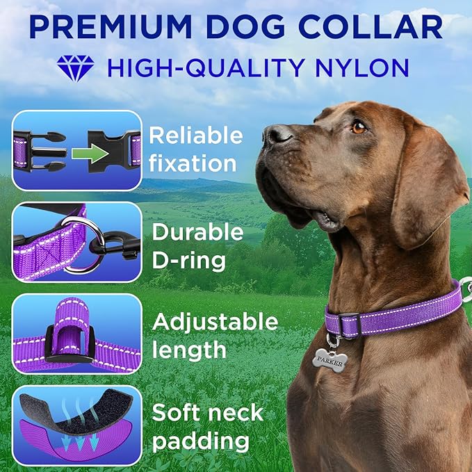 TECEUM Reflective Dog Collar β Purple β XS β Extra Soft Padding β Basic Nylon Pet Collar β Quick Release Buckle β Fits Small, Medium and Large Dogs, Puppies, Cats β ESA & Service Dog Options