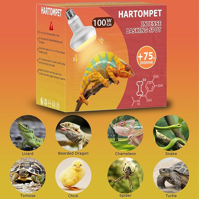 100W Intense Basking Spot Lamp – UVA Daylight Heat Bulb for Reptiles, Simulates Natural Sunrise and Sunset, Enhances Natural Behavior, Suitable for Bearded Dragons, Turtles, Geckos | 2 Pack