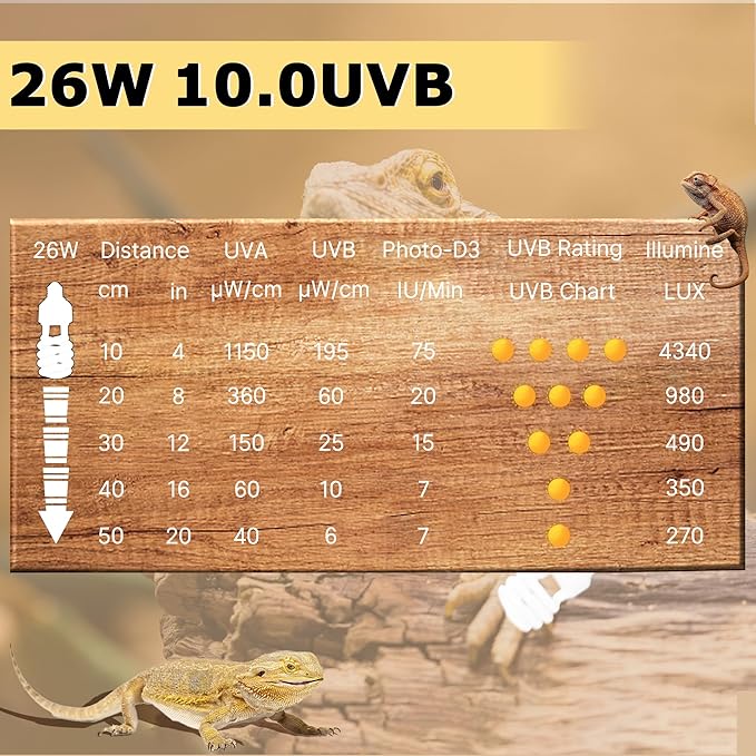 UVB 10.0 Reptile Light 26W, Compact Coil Desert Bulb for Bearded Dragons, Lizards, Snakes, Geckos, Amphibians, UVA UVB Lamp for Pet Terrarium & Reptile Habitat Tank