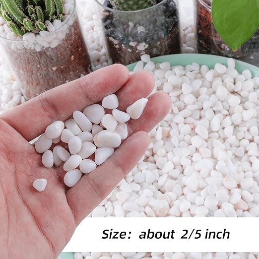 7lb 1/4" Small White Rocks for Plants,Potting,Succulents Aquarium Fish Tank Garden Vases Decorative Pebbles Gravel Rocks Stones