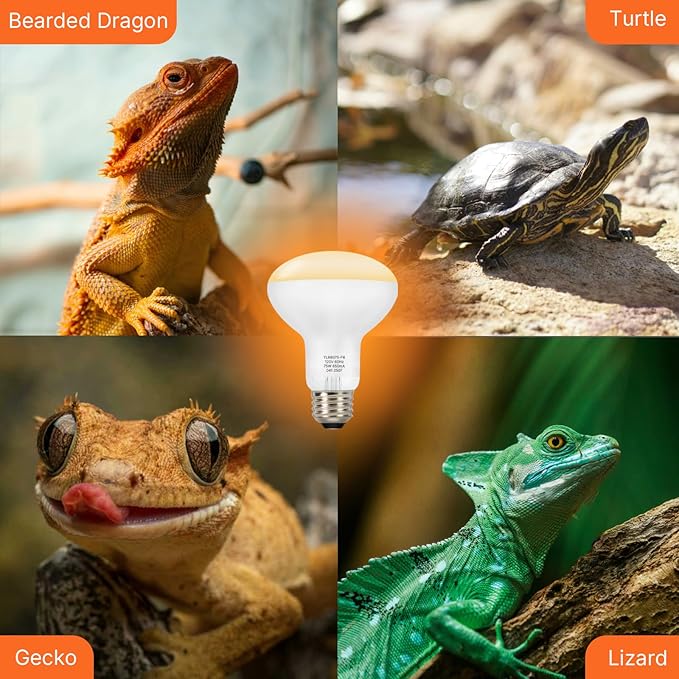 ALAMPEVER 2 Pack Reptile Heat Bulb, 75W Basking Light for Bearded Dragon, E26 Base, Durable Basking Bulb for Amphibian, Lizard, Tortoise, Gecko