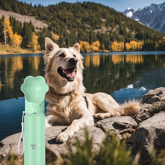 Stainless Steel Dog Travel Water Bottle, Vacuum Insulated Portable Dog Water Dispenser, Drink Cup and Snack Container On The Go, Outdoor Walking, Hiking, Travel (Mint)