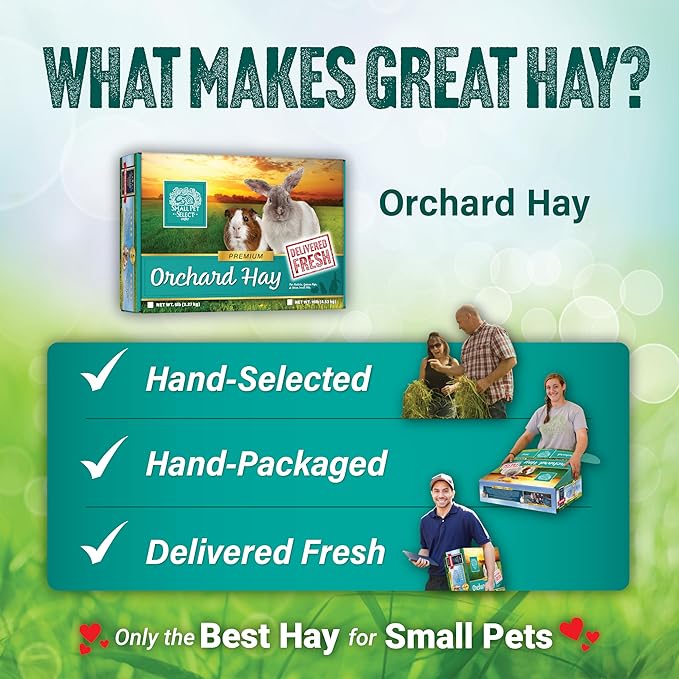 Small Pet Select Orchard Hay, Grass for Rabbit, Guinea Pig, Bunny, Chinchilla and Other Small Animals, Premium Natural Hay Grown in The US, Pet Food, 40 lb
