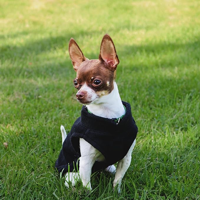 JACKO & CO - Fleece Vest Sweater with Leash Ring - Soft Lightweight Breathable for Puppies Small Medium Dogs, Kitten, Cats, Chihuahua - Warm for Fall/Autumn/Winter (Black, Small 4-6lbs)