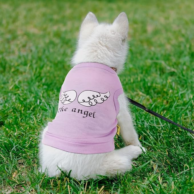 Reginary 8 Pieces Pet Shirts Summer Printed Puppy Dog Shirt Soft Pullover Cute Dog Sweatshirts Puppy Girl Female Clothes Outfits Small Doggie Cats(Vivid Pattern,Size S)