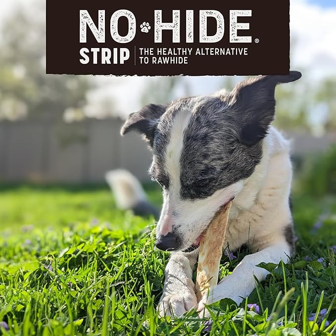 Earth Animal No Hide Strips Barbeque Smoked Chicken & Turkey Flavored Natural Treats | No Rawhide | Quick & Thin Dog Chews - 16 Count