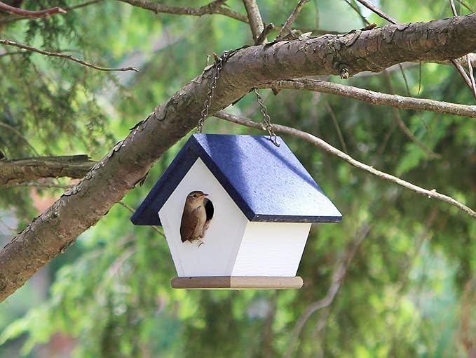 HomePro Garden Hanging Wren House: Navy Blue Poly Lumber Bird House for Outdoors