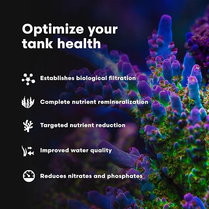 Brightwell Aquatics MicroBacter7 Complete Bioculture for Fish Tank or Aquarium - Populates Biological Filter Media for Saltwater and Freshwater Fish - Aquarium Water Treatments, 33.8 fl oz