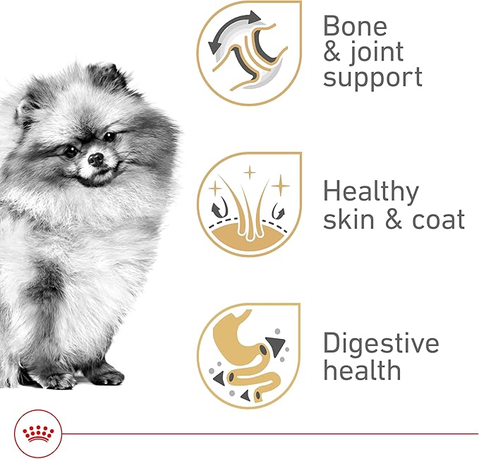 Royal Canin Breed Health Nutrition Pomeranian Adult Loaf in Sauce Dog Food, 3 oz (Pack of 24)