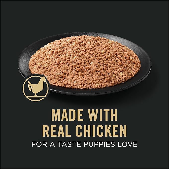 Purina Pro Plan Sport High Protein Puppy Food Chicken and Rice Entree Wet Formula - (Pack of 12) 13 oz. Cans