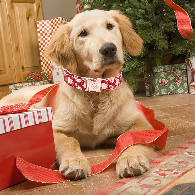 Elegant little tail Christmas Dog Collar, Red Santa Claus Print Pet Collar Dog Durable Cute Dog Collars Winter Holiday Male or Female Pet Gift Adjustable Dog Collar for X-Small Puppy