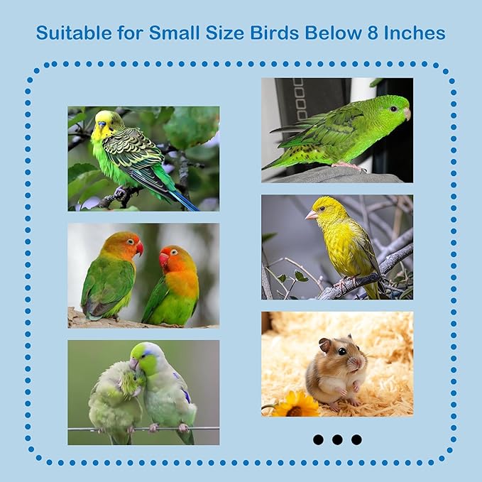 Bird Feeder Bowl for Small Size Birds Budgies Cockatiels Lovebirds Canaries