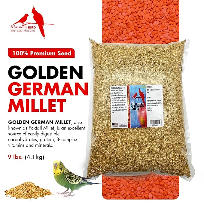 Morning Bird Golden German Millet – Bird Seed & Parakeet Food with Protein, Vitamin B & Fiber – Easy-to-Digest Millet Seed, Natural Food & Daily Nutrition Supplement for All Type of Bird 9 lbs