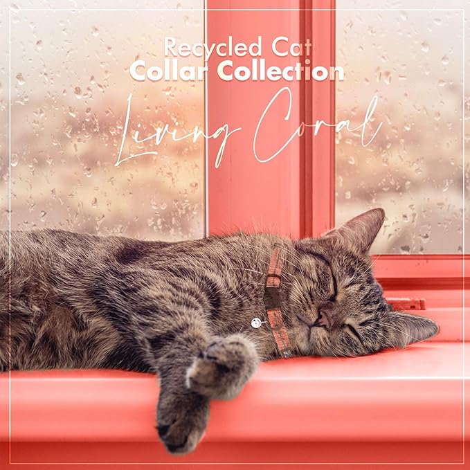 Pawtitas Recycled Cat Collar with Reflective Stitched and Safety Buckle Removable Bell Reflective Cat Breakaway Collar Made from Plastic Bottles - Living Coral Cat Collar.