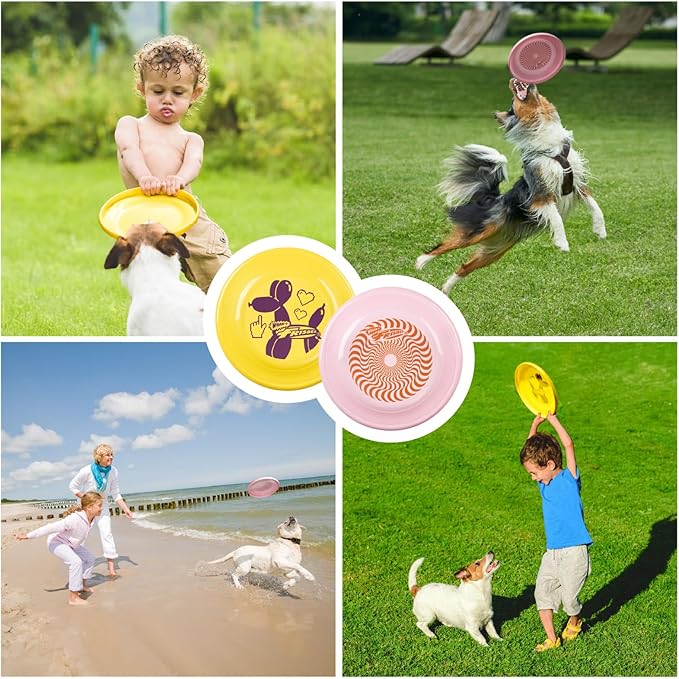 Wham-O Frisbee Fastback Flying Disc, 9.35 Inch Dog-Friendly Lightweight Toy for Professional Players Outdoor Beach Park Backyard Game - 100g