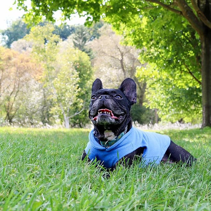 JACKO & CO - Fleece Vest Sweater with Leash Ring - Soft Lightweight Breathable for Puppies Small Medium Dogs, Kitten, Cats, Chihuahua - Warm for Fall/Autumn/Winter (Blue, Medium 6-10lbs)