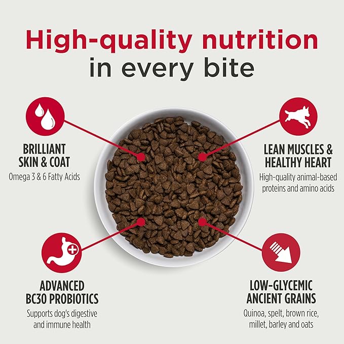 Nulo Frontrunner Ancient Grains High-Protein Dog Food, Chicken, Oats, & Turkey Recipe- Natural Dry Dog Food with Probiotics, Grain-Inclusive Kibble for Adult Dogs, 5 lb Bag