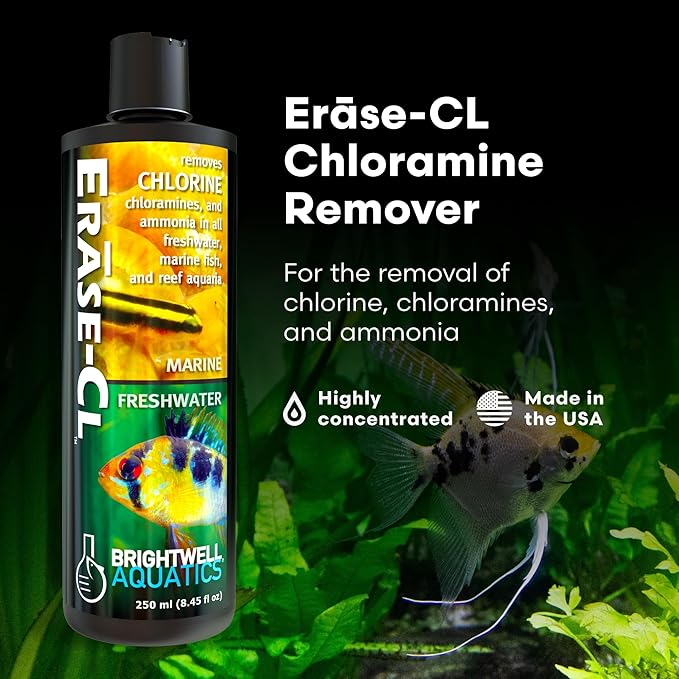 Brightwell Aquatics Erase-Cl - Chloramine, Chlorine and Ammonia Remover - Aquarium Water Conditioner for Salt and Freshwater Fish Tanks - Aquarium Water Treatments, 8.45 fl oz