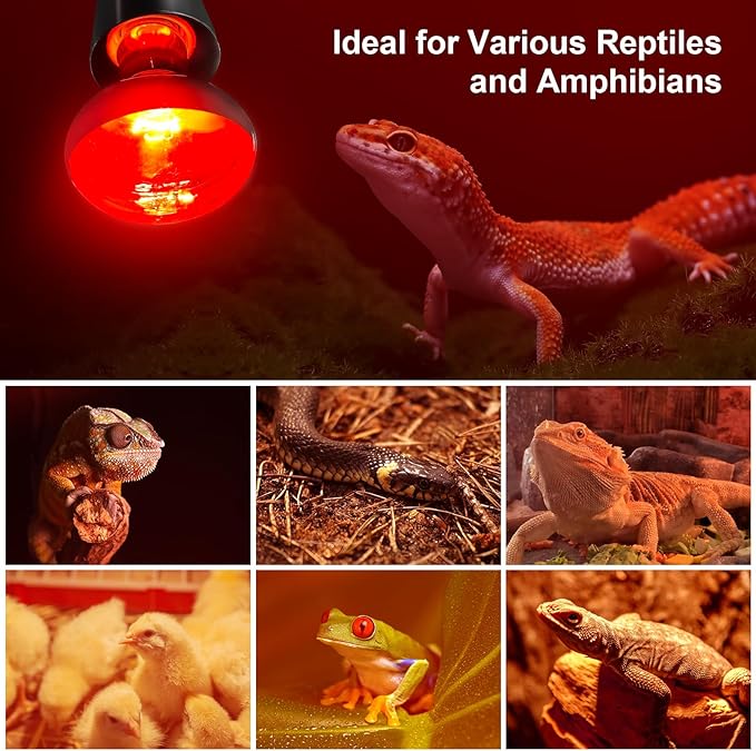 MIXJOY 150W Infrared Heat Lamp Bulbs, 2 Pack Reptile Infrared Heat Emitter Red Heat Lamp Bulbs Infrared Basking Light Bulbs for Reptiles, Bearded Dragon, Lizard, Tortoise, Chickens, Pets