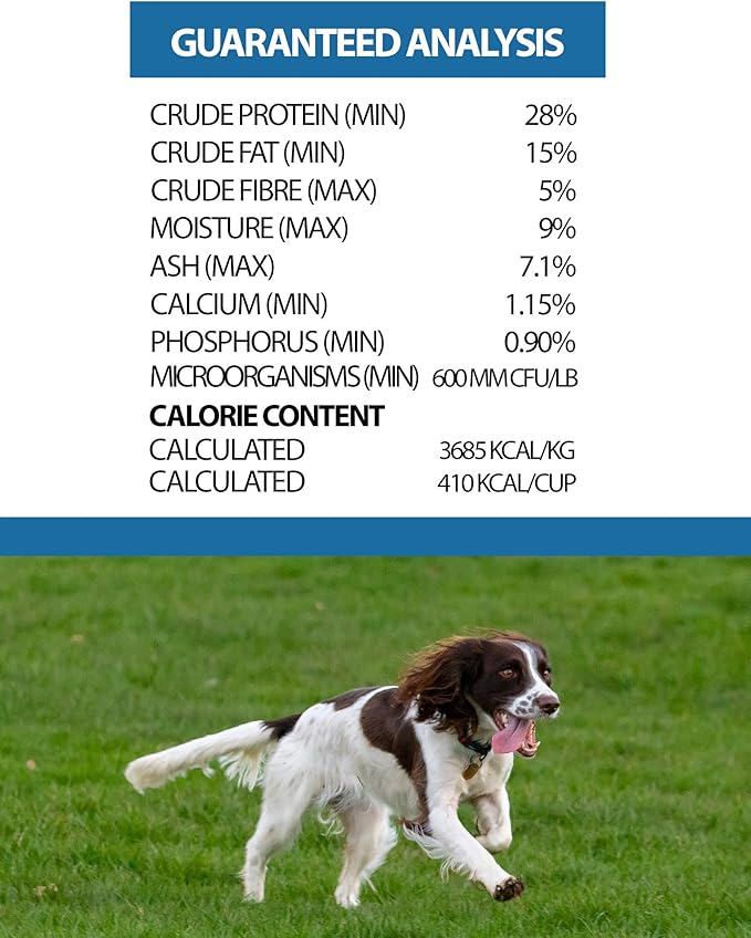 Pulsar Premium Grain Free Dog Food | Salmon Formula | All Life Stage, Non GMO, Meat Dense Diet | 8.8 lb Bag