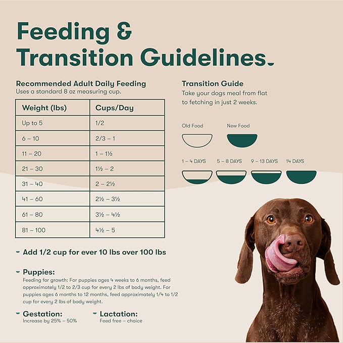 Jinx Premium Grain-Free Dry Dog Food, for All Lifestages - Grass-Fed Lamb, Sweet Potato & Carrot Dog Food with Superfoods for Immune Support & Probiotics for Digestive Support - No Fillers - 4lb